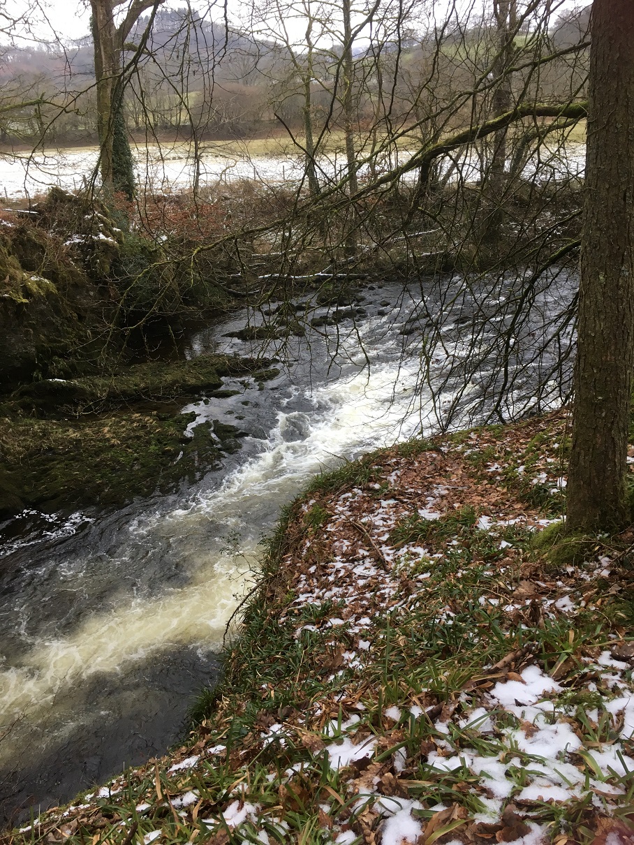 Rhandirmwyn 7
