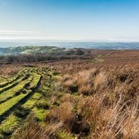 St Illtyd 3 Penllercastell