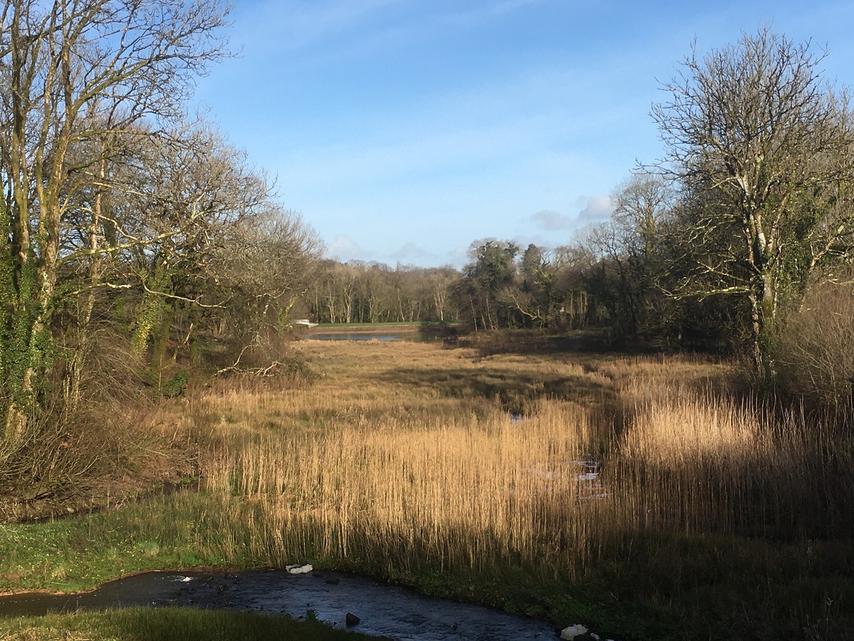 new lake