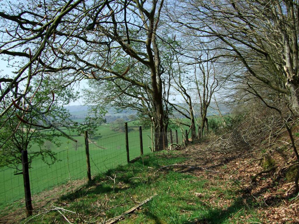 footpath