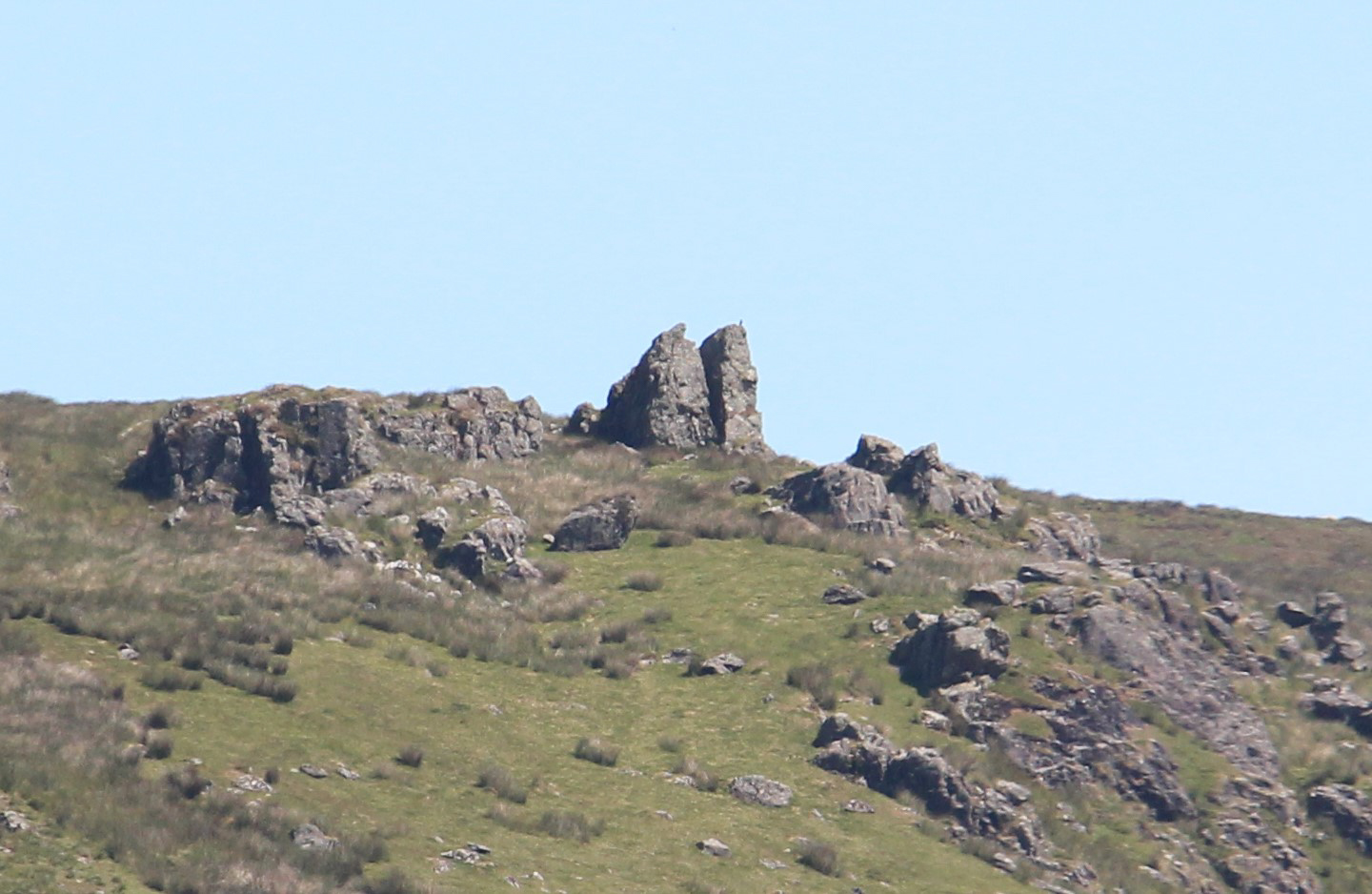 Maenclochog summit rocks