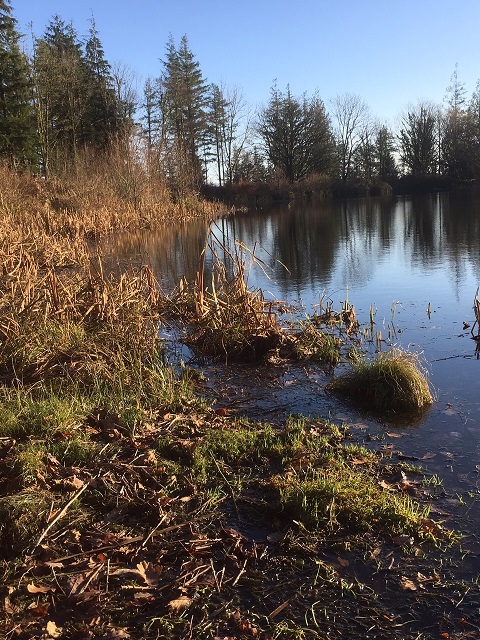 Salem lake